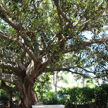 La Magnolia Casa de hóspedes Bacoli